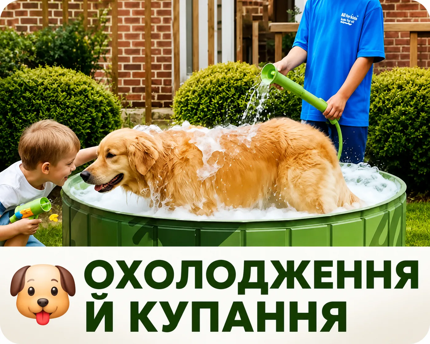 Охолодження і купання собаки